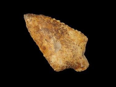 2 13/16" X 1 9/16" Alachua Stemmed