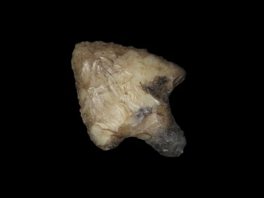 1 3/4" X 1 3/8" Marion, Found in Forida