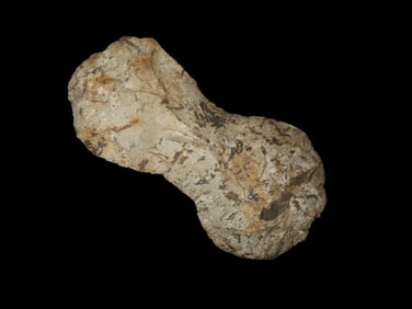 5 3/4" X 2 15/16" Guilford Double Bitted Flint Axe, Colorful Chert, Motley COA, Found in TN