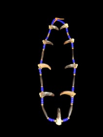 20" Bear Claw Necklace strung with Blue Trade Beads and Brass Spacer Beads, all on a leather thong.