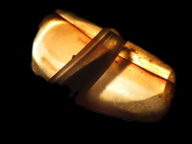 Grouping of Baltic Amber Tumbled Specimens w/Insect and Plant Inclusions