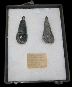 Pair of Pre-Columbian Aztec Crotal Bell Pendants/Ornaments, Acquired at Kolomoki Mounds State Park