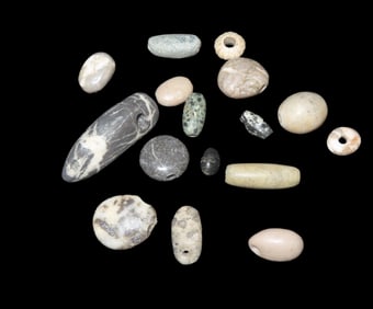 Group of 16 Stone & Fossil Shell Beads