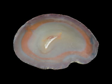 5" x 3 3/4" Slice of Banded Agate with Quartz Inclusion, from Brazil