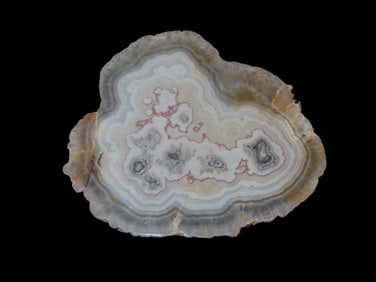 5" x 4 7/8" Polished Slice of Mexican Laguna Agate. It is widely considered the most highly praised