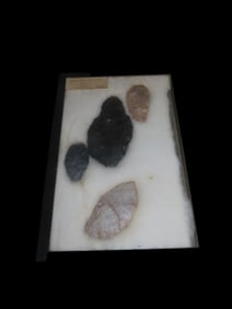 12 1/4" X 8 1/4" Frame of Blades from Owensboro Kentucky