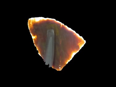 1 1/4" X 7/8" Mezcal Knife, Petrified Wood, Found near Snowflake AZ