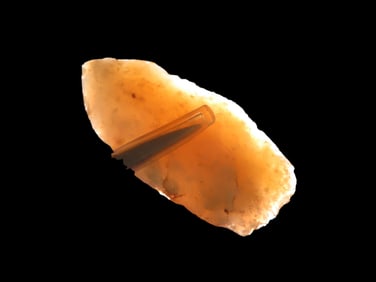 1 5/8" X 3/4" X 1/4" Lanceolate Point, White Quartz, Found near Snowflake AZ