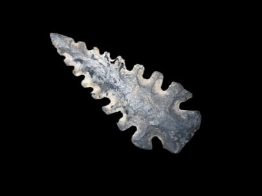 1 3/8" X 9/16" X 3/16" Hohokam, Black Chert, Found in the Salt River Valley near Phoenix AZ