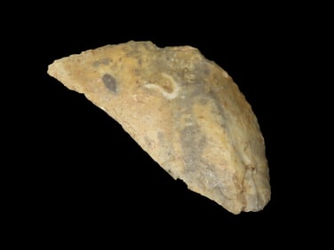 3 1/4" X 1 1/2" X 5/16" Knife, Tan Flint, Found near Butler Co KS