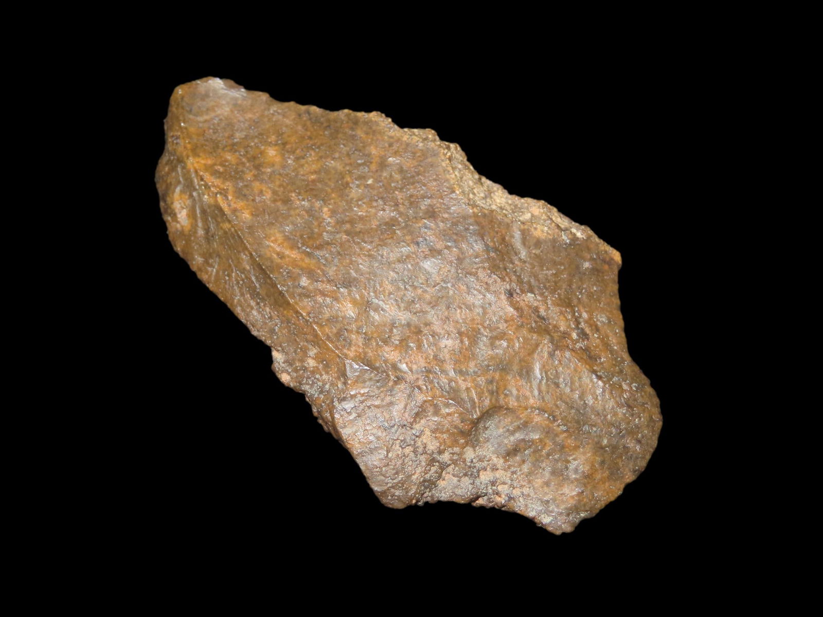 3" X 1 3/4" Convergent Double Sided Scraper, Found near Morocco (1 of 9)