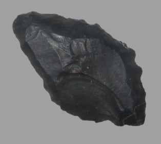 1 1/2" X 3/4" X 3/16" Auguston Point, Found near Snowflake AZ