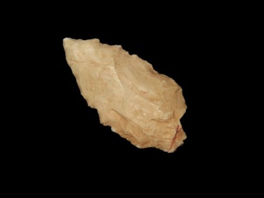 1 1/2" X 5/8" X 3/16" Auguston, Tan Patina White Chert, Found near Snowflake AZ