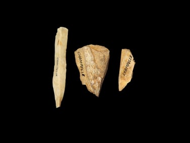 4 1/4" X 3 /18" Frame of Rare Bone Points, Champlle Cave With Ventrel Cutting Traces