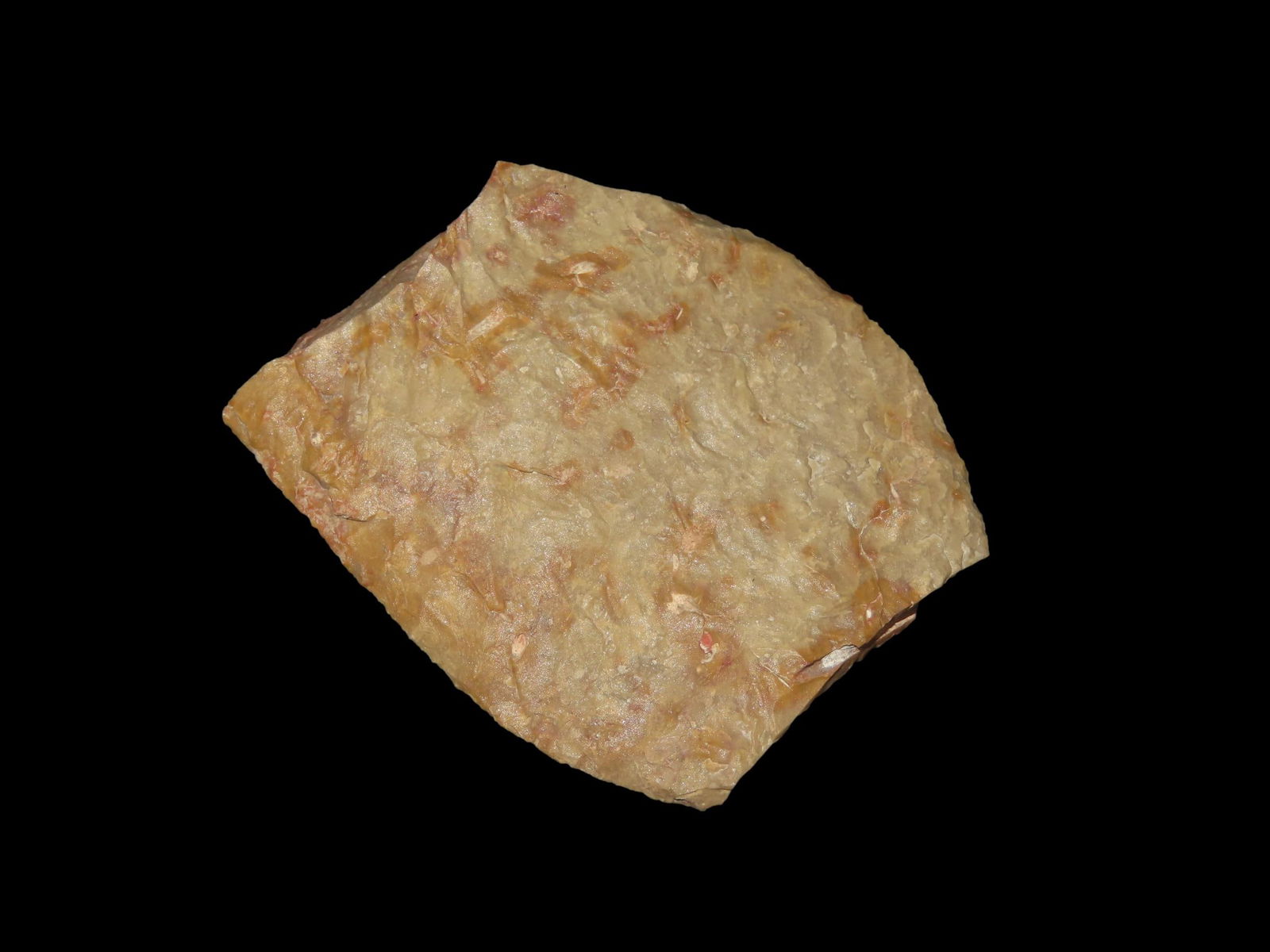 2 3/8"x2 1/8" Archaic Knife Scraper Chert Green/Grey Found at Fort Lewis Clark (1 of 7)