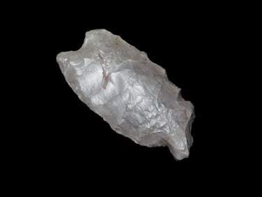 2 1/2" X 1 3/16" Wheeler Point, Kentucky, Transitional Paleo