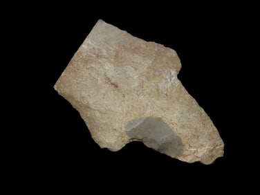 2 1/4" X 1 1/2" Adena, Found in Donipha County Kansas By Fin Ward