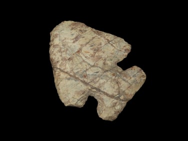 2 1/2" X 2 1/8" Thebes Point, Found Near Columbus Ohio