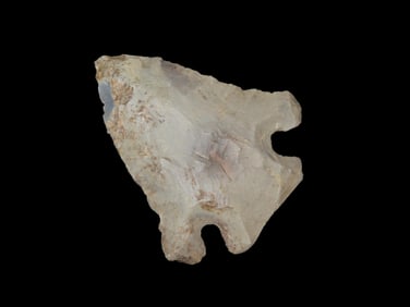 2 1/4" X 1 15/16" Pinetree, Found in Summerset Kentucky