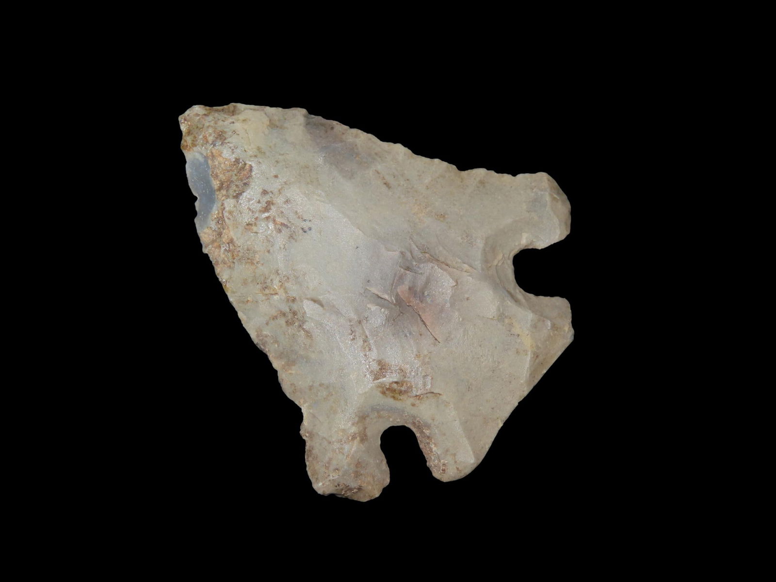 2 1/4" X 1 15/16" Pinetree, Found in Summerset Kentucky (1 of 7)