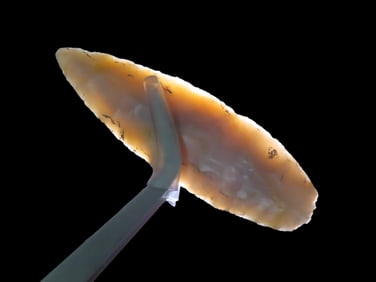 2 3/4" X 13/16" Lerma Point, Found in Arizona