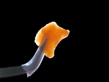 5/8" X 11/16" Paleo Scraper, Found in Kentucky