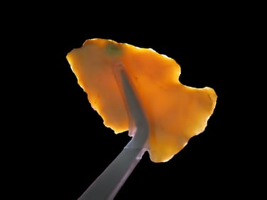 1 5/8" X 3/16" Damron Point, Found Near Columbus Ohio