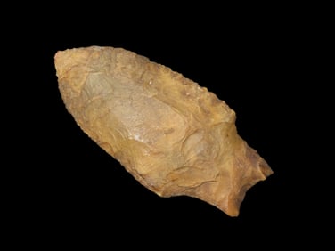 3 3/16" X 1 1/2" Savannah Stemmed Point, Found in Florida