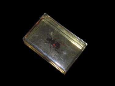 2 3/8" X 1 1/2" Stink Bug