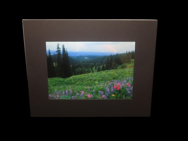 14" x 11" Scott Wheeler Original Photo, titled "Yellowstone Storm"- Beautiful brightly colored