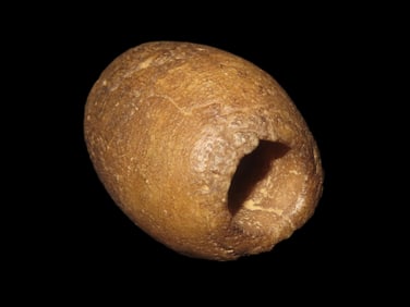 2" Translucent Quartz Ball / Tube Bannerstone, Motley COA, Ohio, Ex Fred Eiserman, Jan Sorgenfri