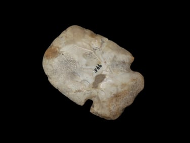 5 1/8" Polished Flint Notched Hoe, St Clair County Illinois