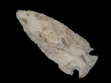 4 1/8" Dovetail, St Charles County Missouri, Found by Ron Knowles