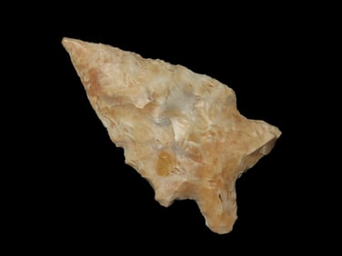 2 1/2" Rice Lobed, St. Charles County Missouri, Found by Ron Knowles