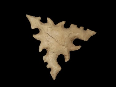 2 3/8" Tussinger Eccentric Flint Effigy, Early 1900's Oklahoma