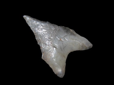 1 1/2" Dalton, Southern Missouri