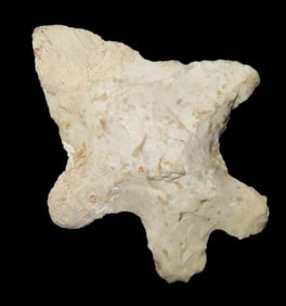 1 1/16 Fox Valley Arrowhead from Stark County Illinois with a Restored Tip