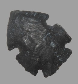 Eccentric Double Notch Flint Effigy Arrowhead, New Mexico