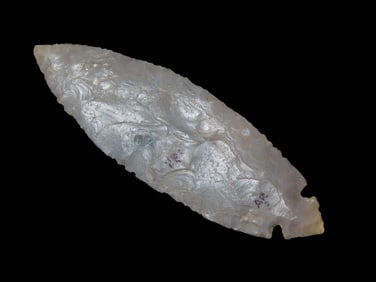 3 3/4" Turkeytail, Bowling Green Kentucky