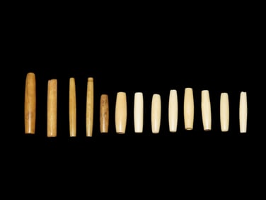 Lot of Drilled bone Beads from the Dakotas