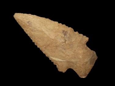 2 3/4" Serrated Hardin found in Tennessee