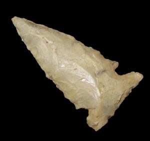 Amazing Bird Point found in Colorado