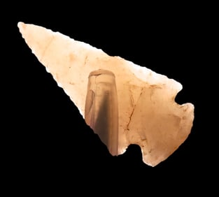 Amazing Translucent Bird Point found in Colorado