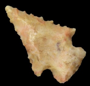 Nice Serrated Bird point from Colorado