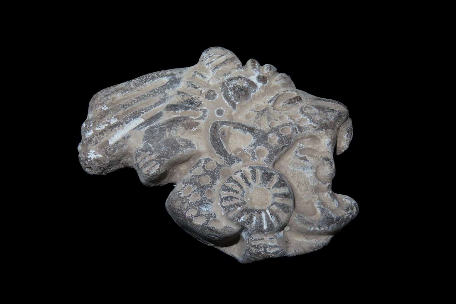 Pre-Columbian Pottery Head, Mexico: Pre-Columbian Pottery Head, Mexico