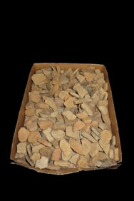 Large Flat of Pottery Sherds / Shards Found by Ron Knowles