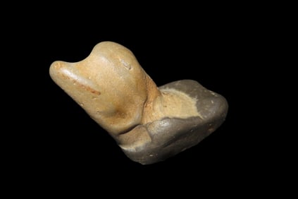 "Birdstone" Natural Rock Art, Has a Head with Beak & Eye, but all Naturally Formed. Sits up Nicely.