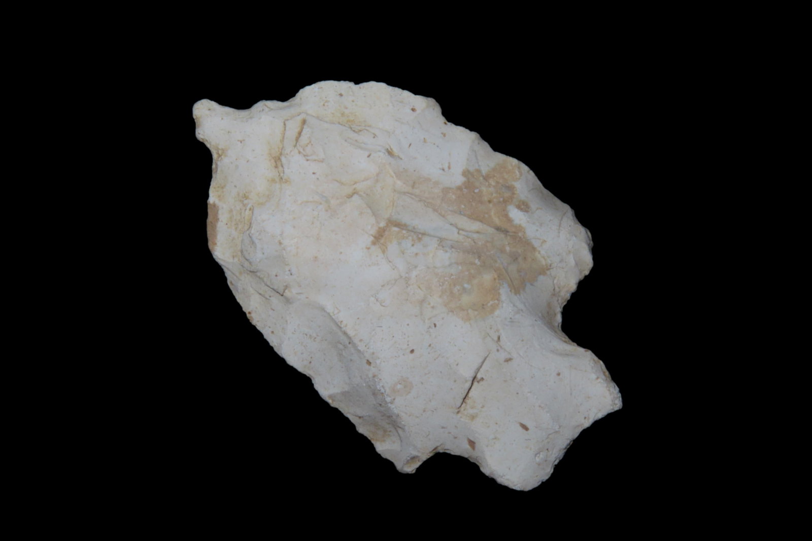 2 3/8" Hopewell Perforator / Drill, "Fish Effigy" Arrowhead, Someone Drew an eye on it for fun (1 of 5)