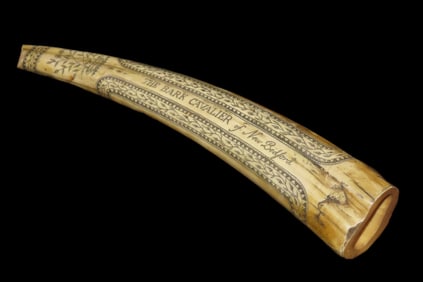 15 1/2" Vintage Scrimshaw Walrus Tusk Carving, Reproduction, Intricate Design