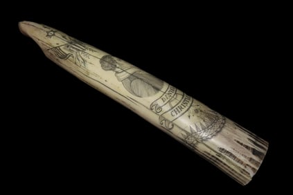 11 3/4" Vintage Scrimshaw Walrus Tusk Carving, Reproduction, Intricate Design